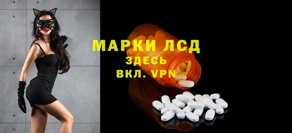 стаф Аркадак